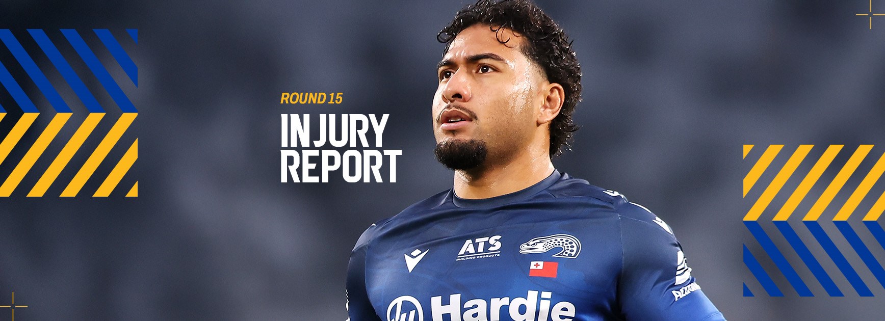 NRL Injury Report: Round 15