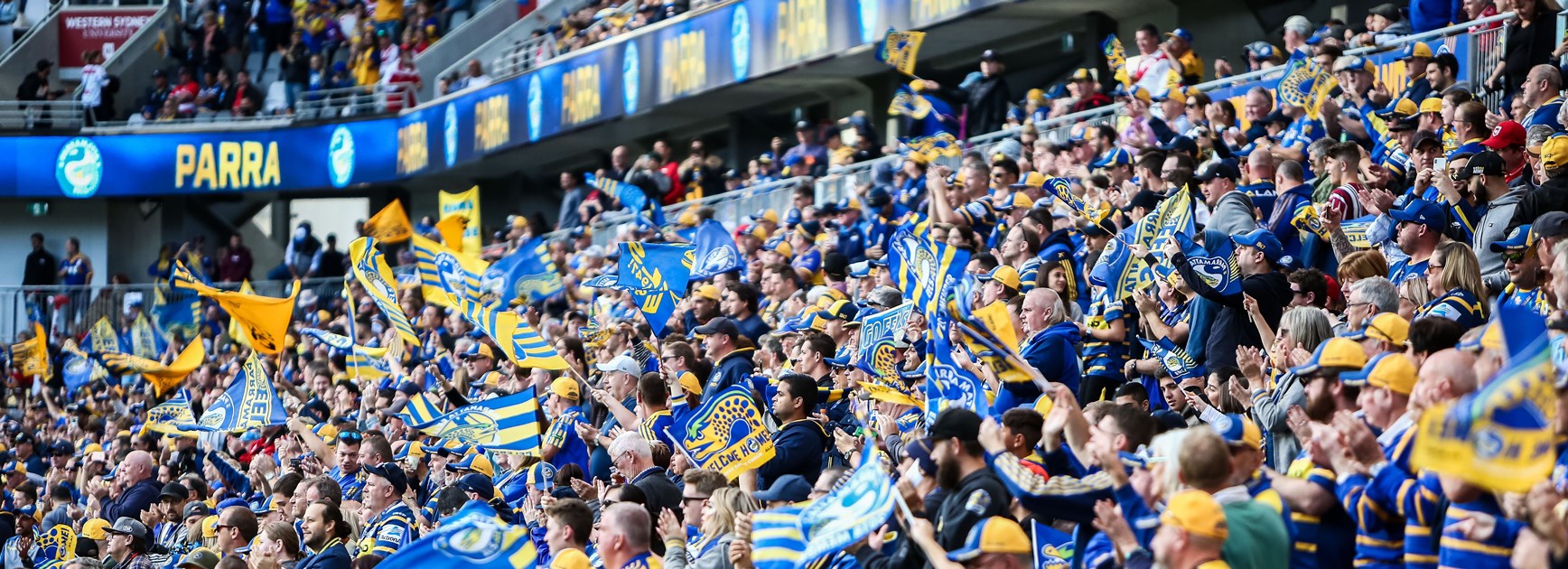 Game Day Info: Eels v Panthers, Round 11