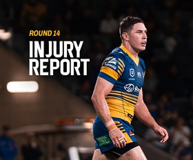 NRL Injury Report: Round 14