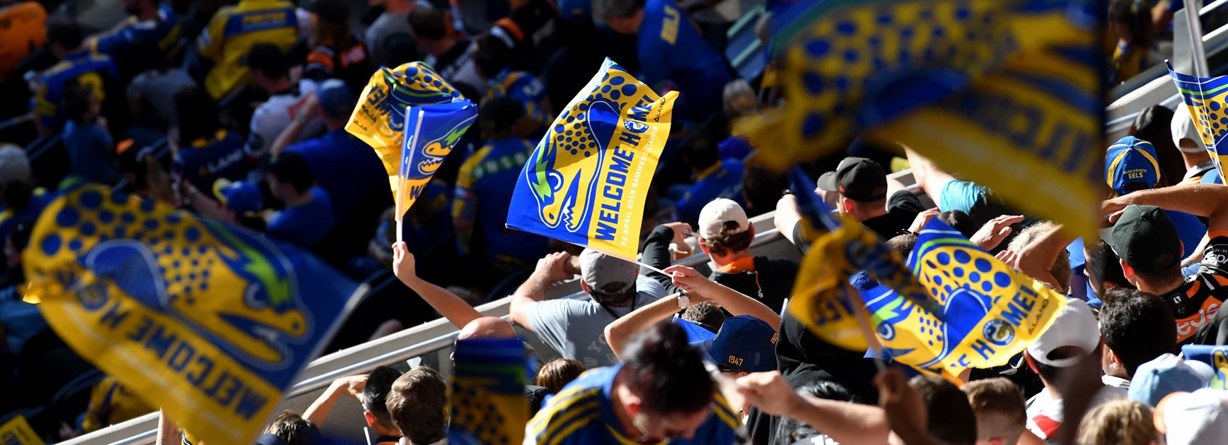 Important Members Info: Eels v Dragons, Round Eight