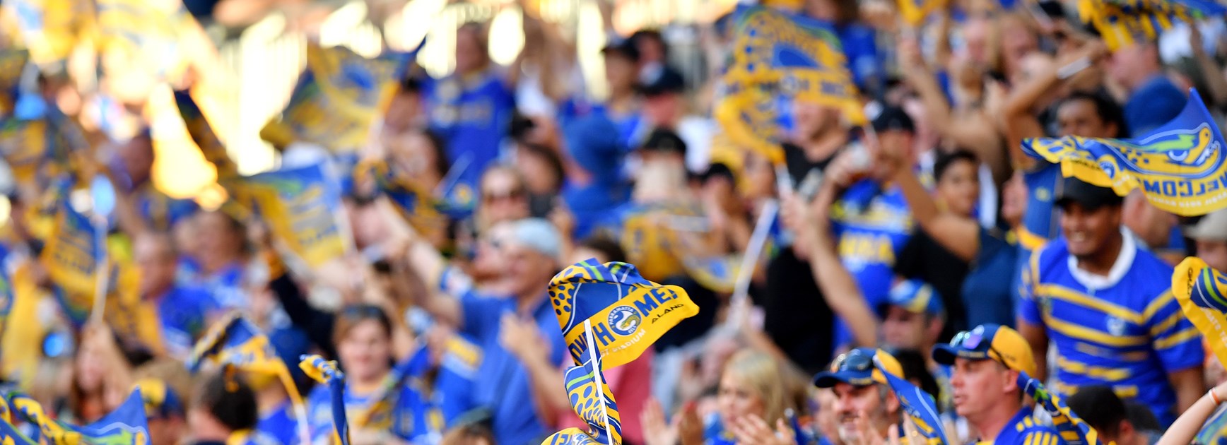 Parramatta Eels and WISE Employment Autism Game Day Pack and Guide
