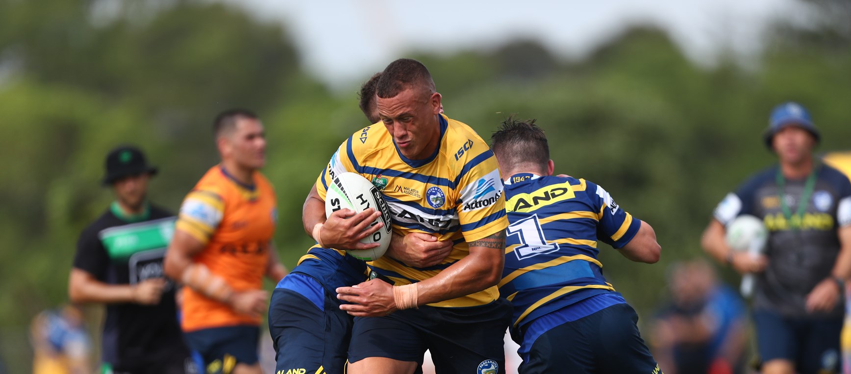 Eels end year with opposed session